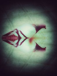 High angle view of tiled floor