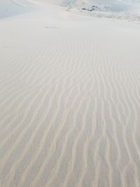 High angle view of sand dunes at beach