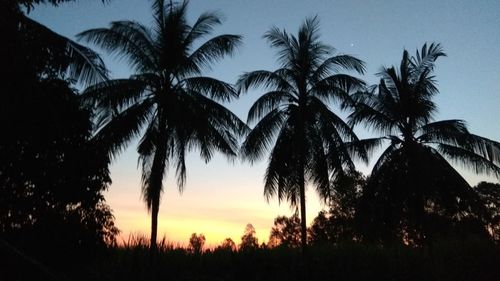 Silhouette palm trees against sky during sunset