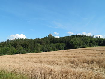 Scenic view of field against sky