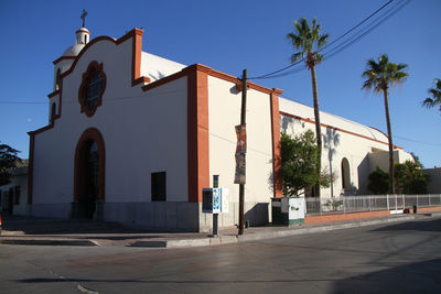 Street by palm trees and buildings against blue sky