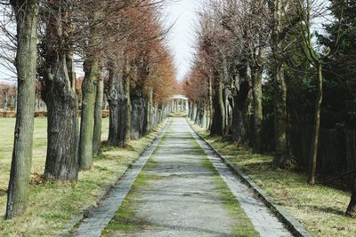 Dirt road amidst trees against sky