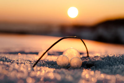 Close-up view of sunset