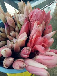 High angle view of pink roses on display at market