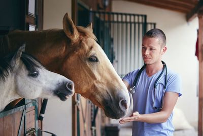 Man standing in stable