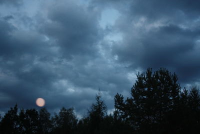 Silhouette of trees against cloudy sky