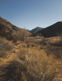 Scenic view of field against clear sky