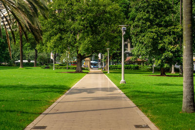 Footpath in park