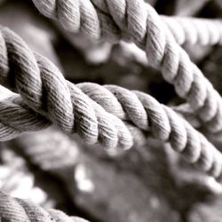 Close-up of cropped rope