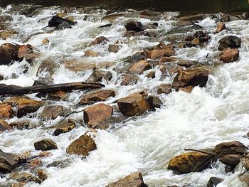 Scenic view of river