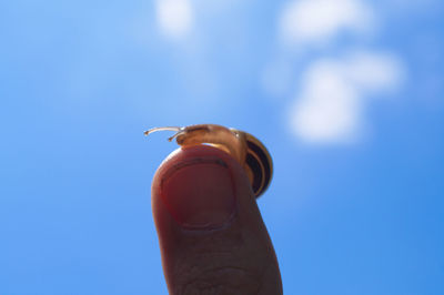 Close-up of snail on thumb against sky