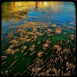 Full frame shot of water surface