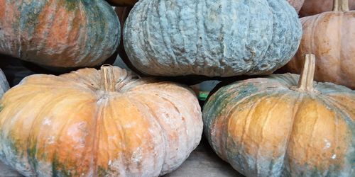 Full frame shot of pumpkins