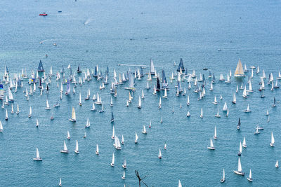 High angle view of sailboats on sea shore