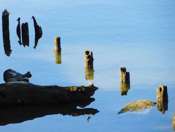 Reflection wood in the water