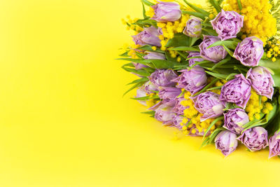Close-up of multi colored flowers on yellow background