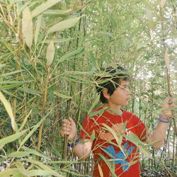 Boy standing amidst bamboos on field