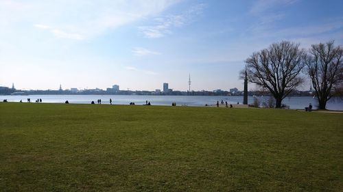 Scenic view of field against sky