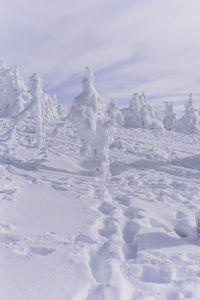 Snow covered land against sky