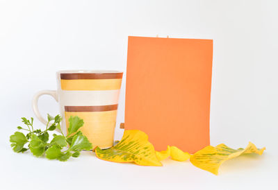 Close-up of drink against white background