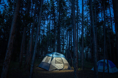 Tent on field by trees in forest