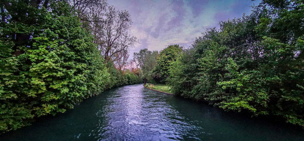 River amidst trees in forest against sky