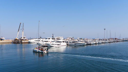 Sailboats moored in harbor