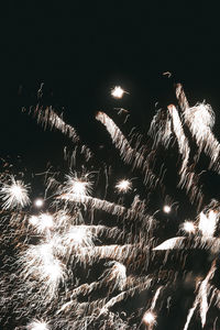Low angle view of firework display at night