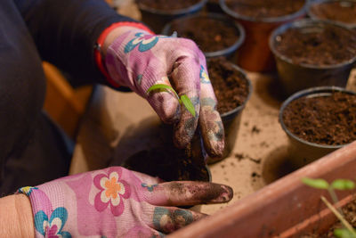 Cropped image of gardener working on potted plants