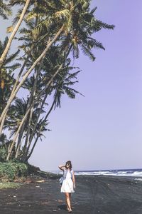 Full length of woman standing by palm tree at beach against sky