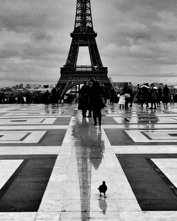 Tel un touriste!...oui les pigeons aussi vont se balader!