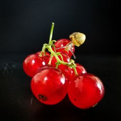 Close-up of cherries on table against black background