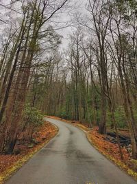 Road amidst trees in forest against sky