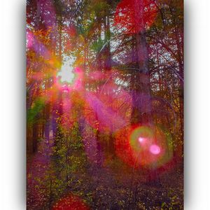 Digital composite image of trees in forest during autumn