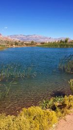 Scenic view of lake against blue sky