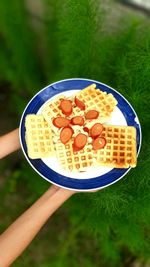 High angle view of person holding breakfast