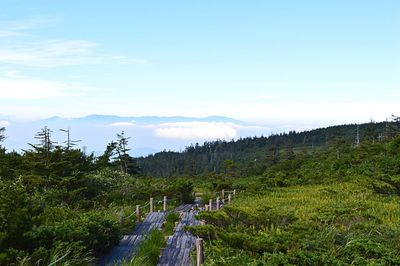 Scenic view of landscape