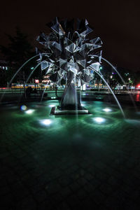 View of illuminated trees at night