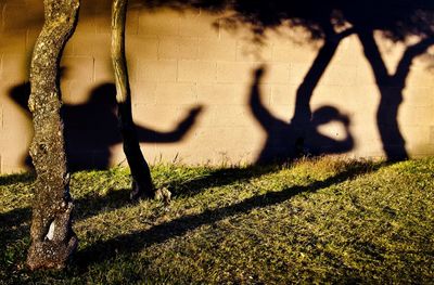 Shadow of man on grass