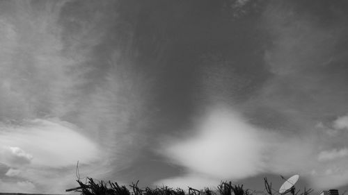 Low angle view of trees against sky