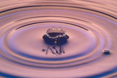 High angle view of drop falling in water