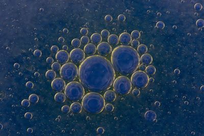 Directly above shot of bubbles in puddle with reflection during rainy season