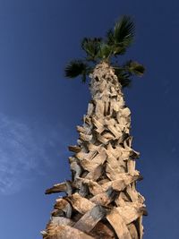 Low angle view of coconut palm tree against blue sky