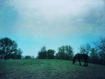 Scenic view of field against sky