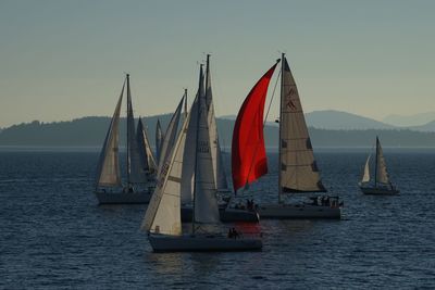 Sailboats sailing in river against clear sky at dusk