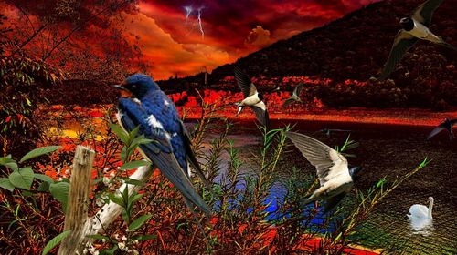 Bird perching on a field