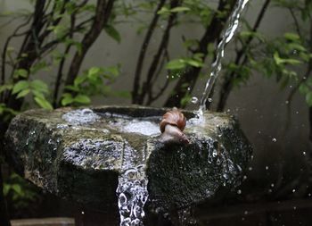 Close-up of water splashing on rocks