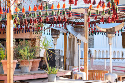 Potted plants hanging in building