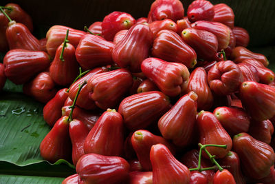 Close-up of red tomatoes