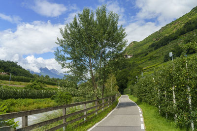 Road amidst trees against sky